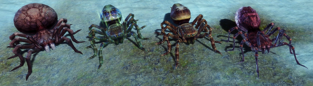File:Spectacular Spiders.png