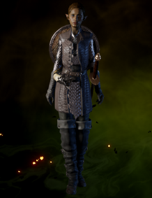 File:Crafted Defender Coat.png