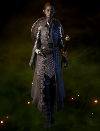 File:Crafted Vanguard Coat.png