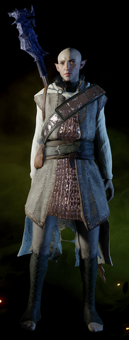 File:Reinforced-Battlemage-Armor-Solas.png