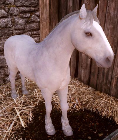 File:ImperialWarmblood.png
