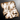 Plt ico tattered note
