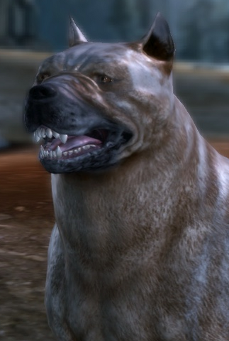Archivo:Dog.png