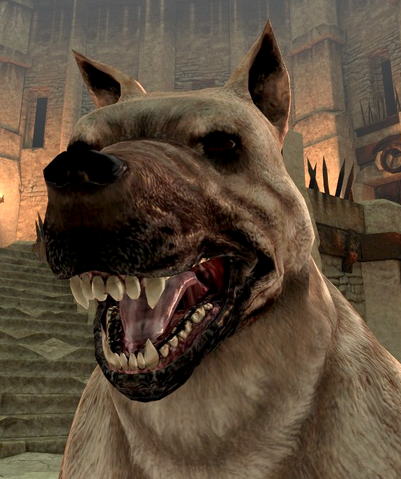 File:Dog2DAII.png