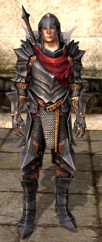 File:Wararmor.png