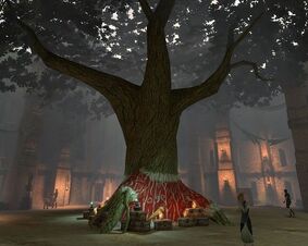 Alienage1.jpg