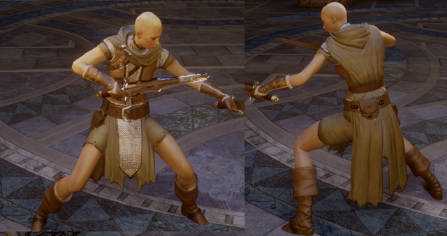 File:Assassin's Mantle.png