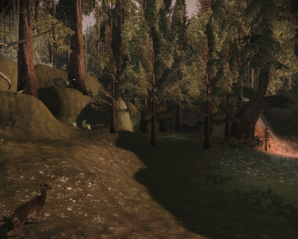 File:Twisted Forest.png