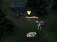 The Lost Hounds