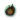 Giant Spider Glands Icon