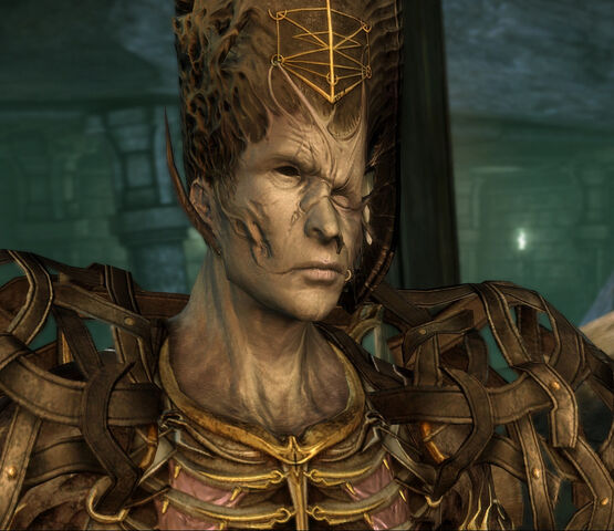 File:The Architect's Face.jpg
