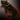 Plt ico werewolf pelt