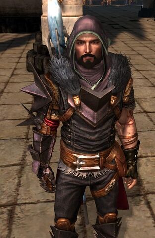 File:Mantle of the Champion2.jpg