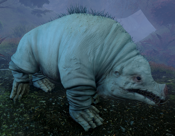 File:The-Nox-Morta-Creature.png