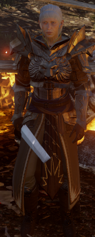 File:DAI Alternate Templar Armour.png