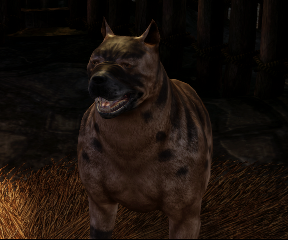 File:The Mabari Hound.png