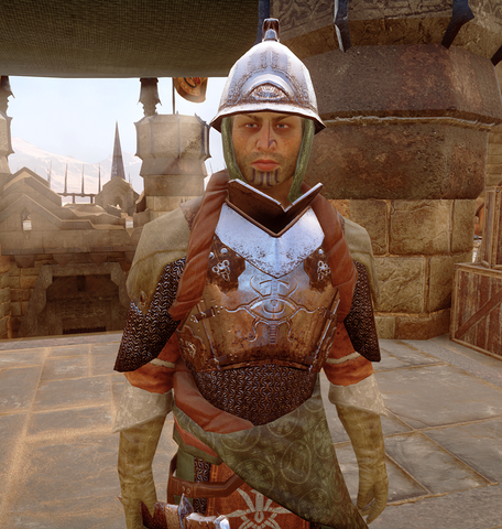 File:Knight-Captain-Rylen.png