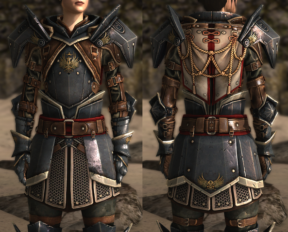 File:Raider Plate.png