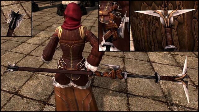 File:DA2 Staff of the Primal Order - act 1.jpg