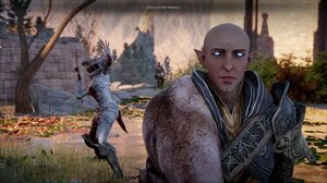 Solas petrificando