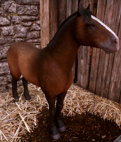 File:Fereldan-Forder.png