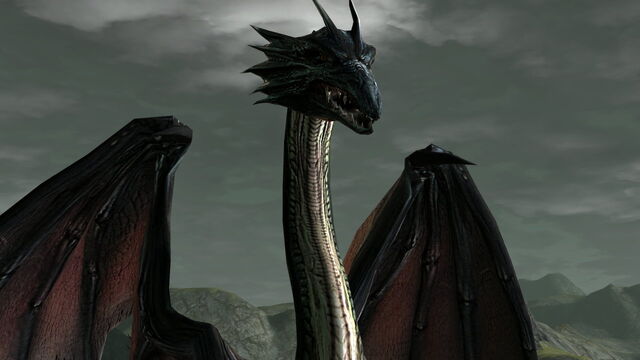 File:MatureDragon.jpg