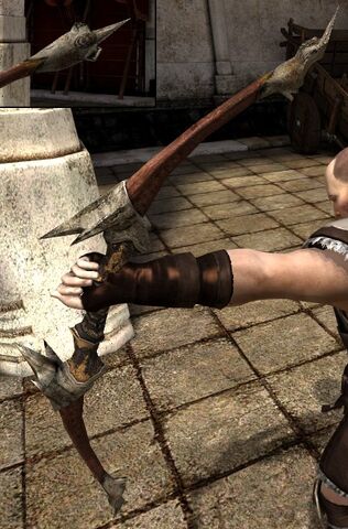 File:DA2 The Trepanner`s Gift - shortbow - act 1.jpg