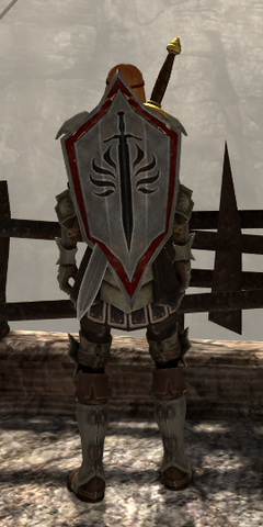 File:Templar Defender.png