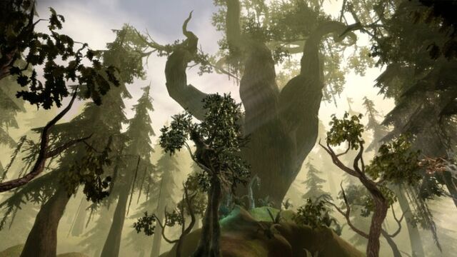 Archivo:BrForest.jpg