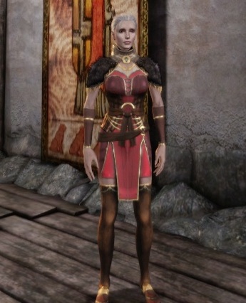 Dragon Age Origins Mage Robes