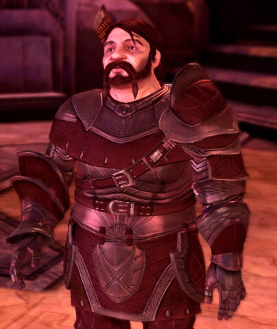File:NPC-Captain of the Guard.jpg