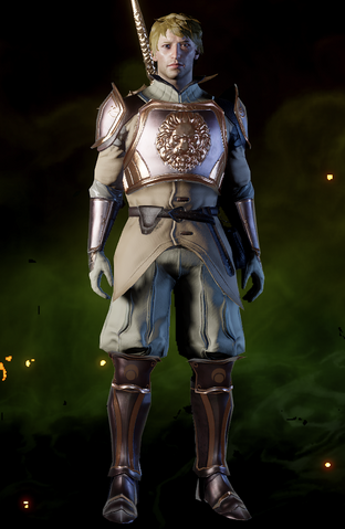 File:Heavy-Adventurer-Armor-Malequisitor.png