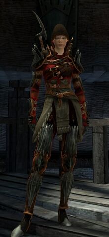 File:Female Hawke Rogue Champion.jpg