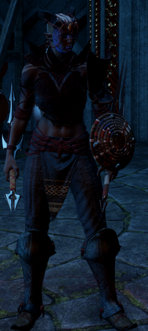 File:Ben-Hassrath Assassin.png