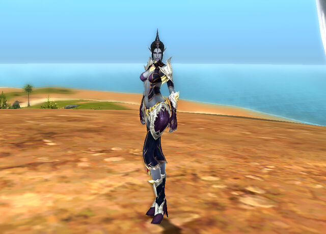 File:AssassinTrainingArmor.jpg