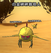 Saibaman fly