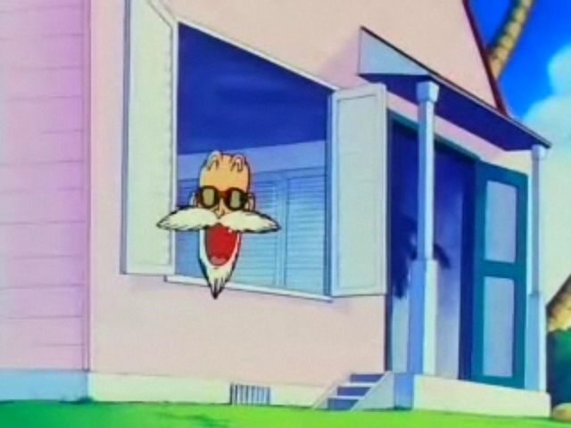 File:RoshiHead.png