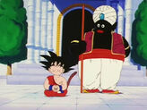 Dbpopo.jpg