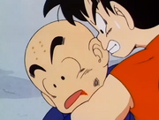 GokuDevastatedByKrillinsDeath