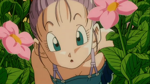 File:BulmaFlowersPTP.png