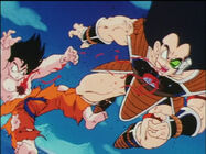 Dbz5-17.jpg