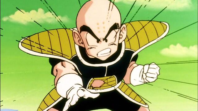 File:PiccoloTheSuperNamek2.jpg