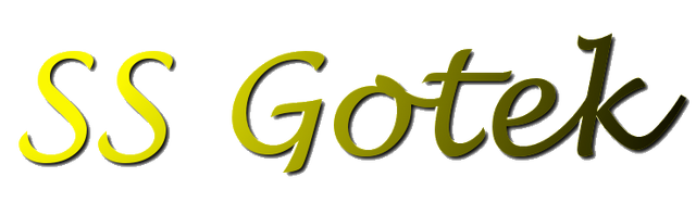 File:Gotek'sPic3.png