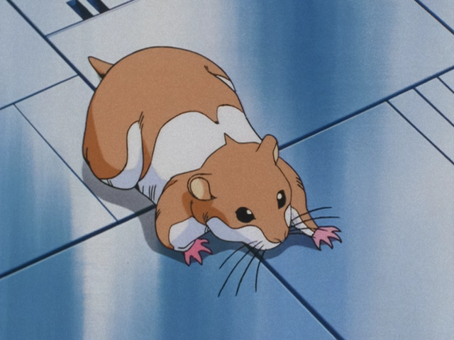 File:Hamster.png