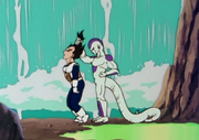 VegetaPummeled