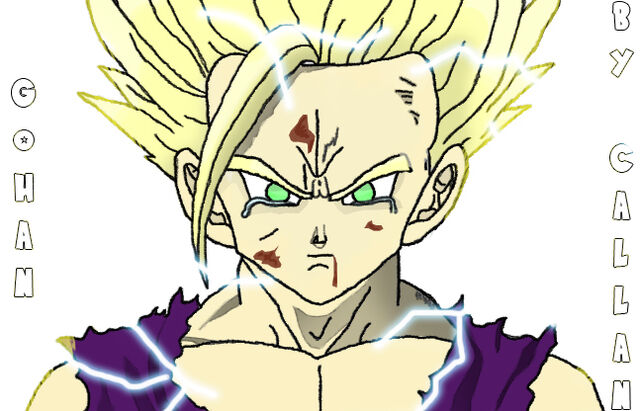 File:Gohan Pic6.jpg
