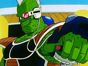 Iru.png