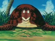 Turtle DB.png