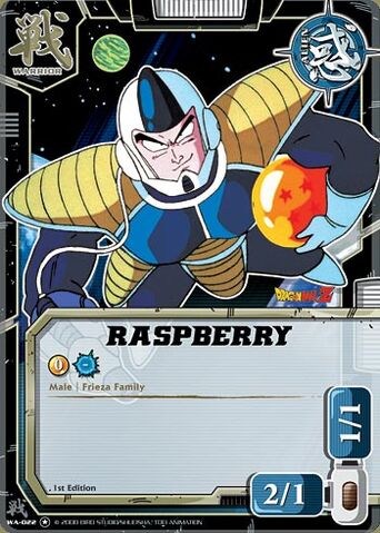Arquivo:RASPBERRY 4.jpg