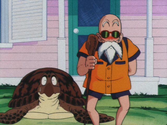 File:Turtle&Roshi.png
